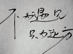 茶叶类目首页框架图