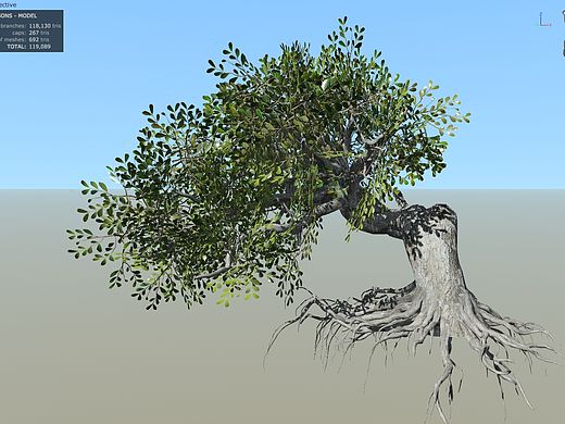 Speedtree练习