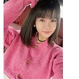 柚子插画的头像
