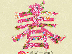 洛陽春日最繁花#安陽師范學(xué)院#