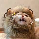 啊颖子哟的头像