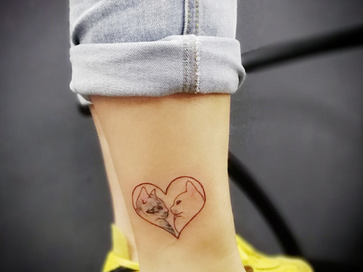 原创猫咪小腿纹身