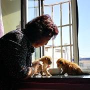 姥姥（个人主页-ZMjgxODYyMDA=） - 人像摄影 - 站酷设计师燕儒原创素材 - 站酷ZCOOL