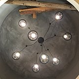 胖星守护者的头像