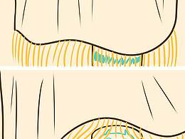《大马哈鱼丸子的日常》第四弹