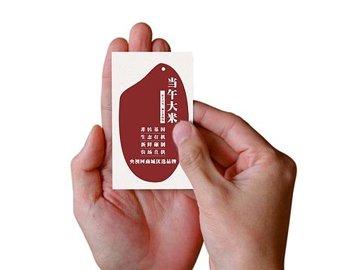 当午大米品牌包装设计
