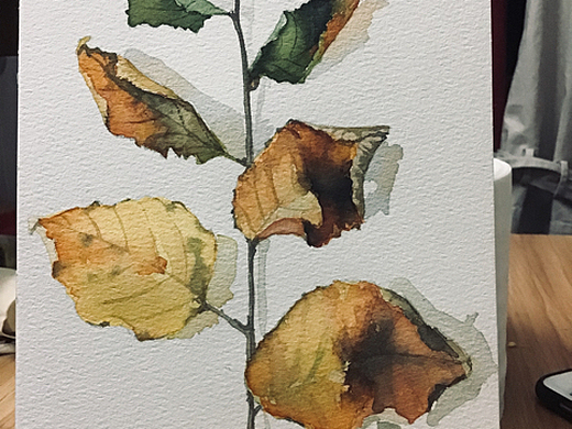 马克笔技法纯艺术-绘画254015年前珠宝首饰纯艺术-绘画251015年前添加