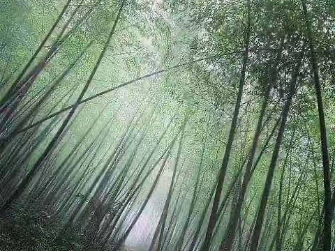 莫干山（个人主页-ZNDk1NzYzNjQ=） - 风光摄影 - 站酷设计师KanaGi丶原创素材 - 站酷ZCOOL