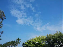 万物可爱---木木