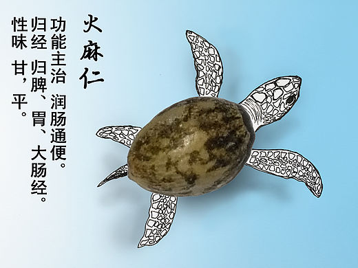 中医药插画与手绘