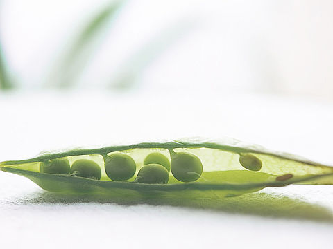 豌豆荚