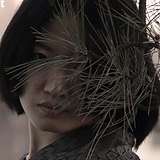 孙影国画的头像