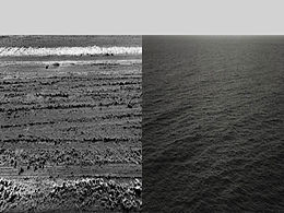 雪景，还不是一片汪洋。