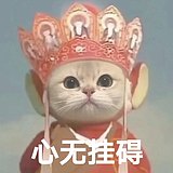 腹黑小寿司xw的头像