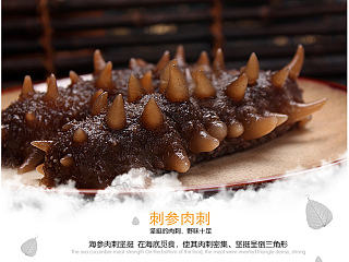 天然海參 海參詳情頁 第二波（個人主頁-ZNzMzMDkxNg==） - 電商 - 站酷設計師Zanshin原創(chuàng)素材 - 站酷ZCOOL