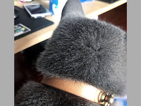 #单色调眼球artist