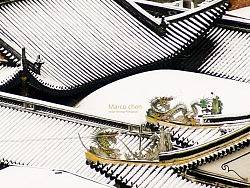 雪中眸（个人主页-ZNjUzNDMy） - 风光摄影 - 站酷设计师marco47原创素材 - 站酷ZCOOL