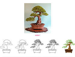 花卉