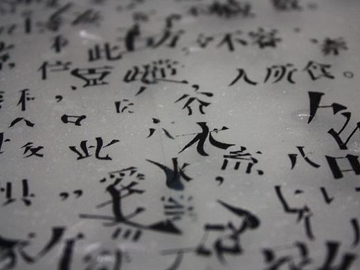 《百家姓》概念书