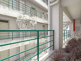 宿舍长草了.....