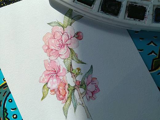 [桃之夭夭，灼灼其华； 桃之夭夭，有蕡其实； 桃之夭夭，其叶蓁蓁 ​​​