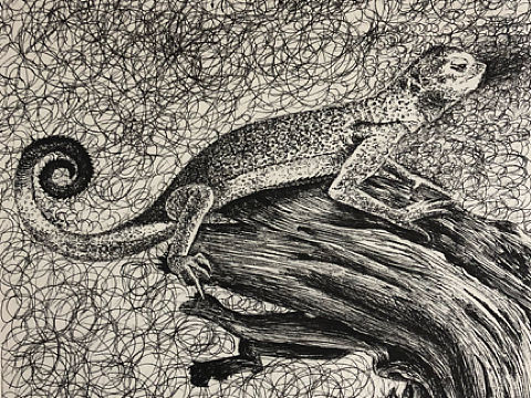 中性笔素描蜥蜴