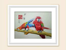 部分鳥(niǎo)圖