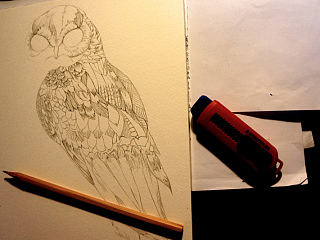 猫头鹰练习（部分过程）（个人主页-ZNTI0NDMwMA==） - 创作习作 - 站酷设计师羅北北_原创素材 - 站酷ZCOOL