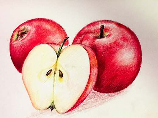 手绘彩铅苹果