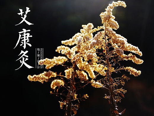 艾草包装设计&说明书