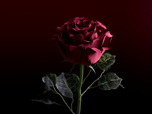 Rose（個(gè)人主頁(yè)-ZNjI5MDc2MzI=） - 場(chǎng)景 - 站酷設(shè)計(jì)師landywe原創(chuàng)素材 - 站酷ZCOOL