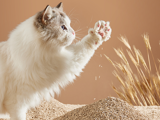 网易严选宠物猫砂产品拍摄