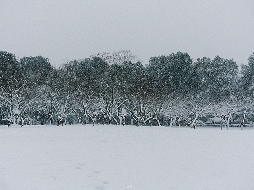 橘子洲·初雪