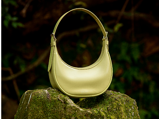 拍摄 静物
