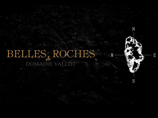 法国岩石葡萄酒标设计