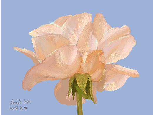 「小Z探险记」05