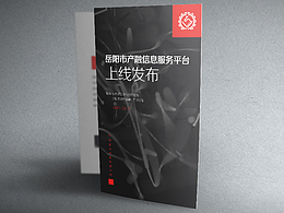 平台类产品发布会折页
