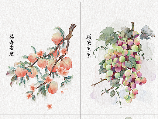 水果插画合集