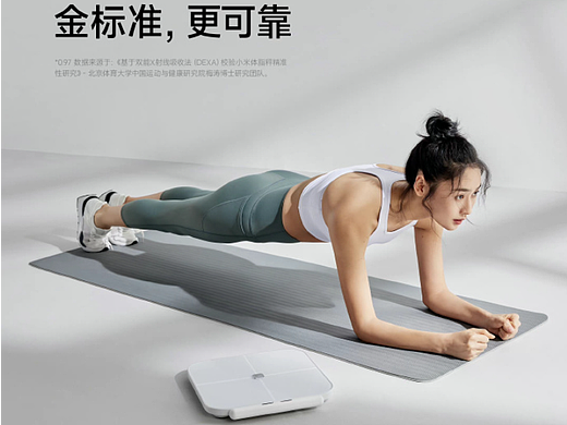 小米体脂秤