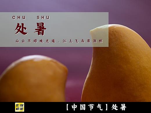 【中国节气】处暑