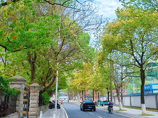 手机随拍合集六