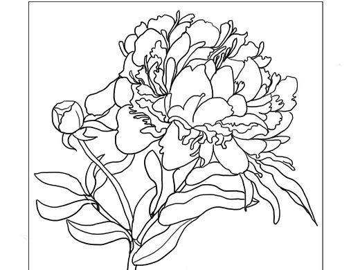 練習(xí)作品（個人主頁-ZNjYyMjcyNjA=） - 藝術(shù)插畫 - 站酷設(shè)計師陳掌門原創(chuàng)素材 - 站酷ZCOOL