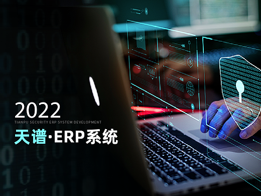点硕&天谱 ERP系统设计开发