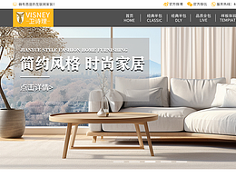 企業(yè)網(wǎng)站