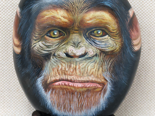 石頭畫—猩猩（個(gè)人主頁-ZNjMxODM2MzI=） - 繪畫 - 站酷設(shè)計(jì)師墨海YY原創(chuàng)素材 - 站酷ZCOOL