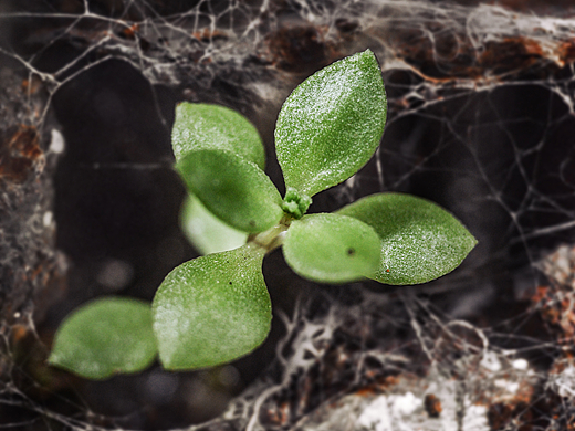 那些记录下的照片