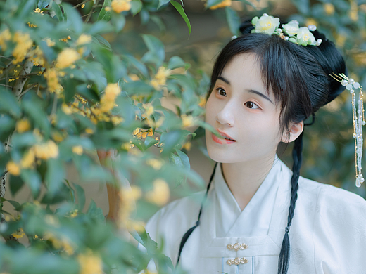 折桂令