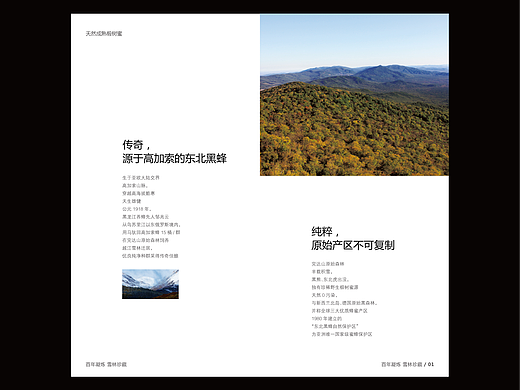 蜂蜜产品画册设计