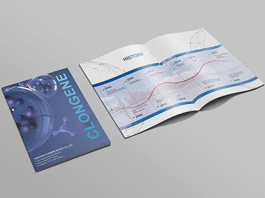 Corporate brochure