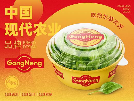 GongNeng农产品品牌LOGO设计｜食品｜农业LOGO VI设计